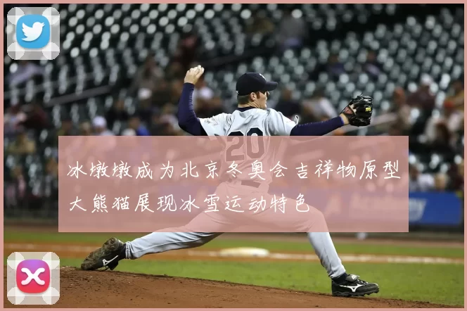 冰墩墩成为北京冬奥会吉祥物原型大熊猫展现冰雪运动特色