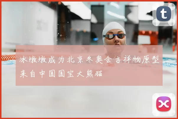 冰墩墩成为北京冬奥会吉祥物原型来自中国国宝大熊猫
